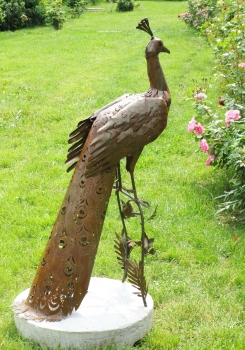 Pfau Skulptur Garten rostig